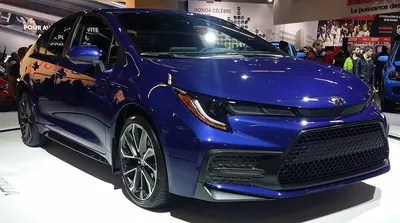 2020-2025 Toyota Corolla (photo)